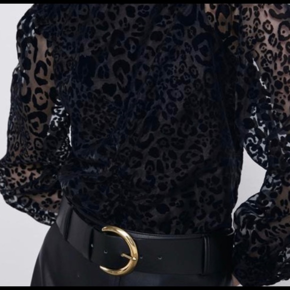 Semi sheer leopard print Zara top - Picture 4 of 4